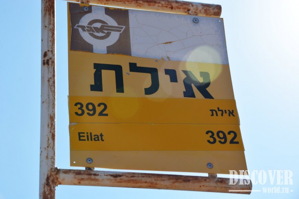 Bus stop back to Eilat