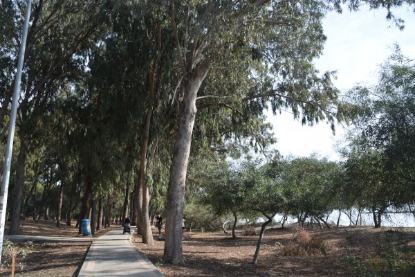 Dasoudi parks Limasolā